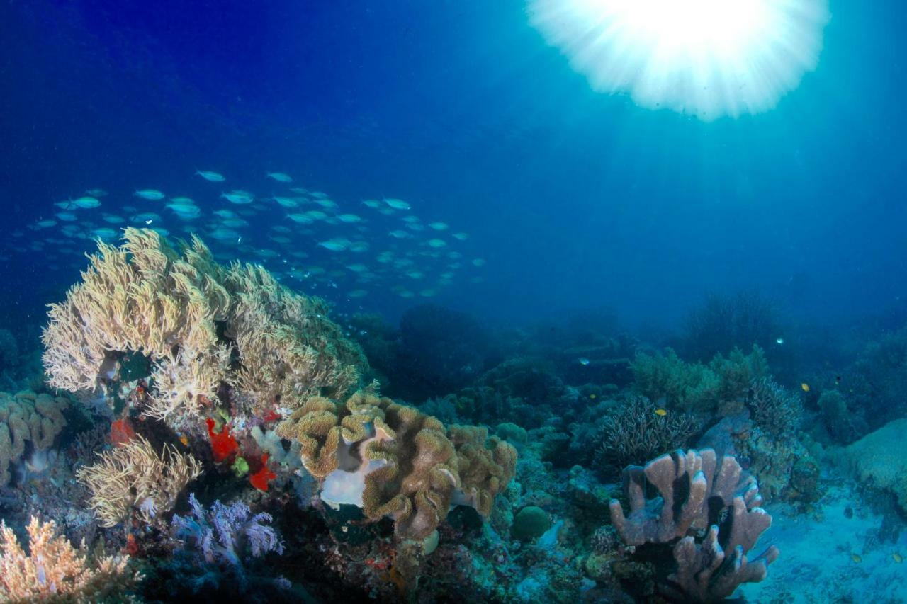 C气泡潜水度假村 C Bubble Diving Resort Dumaguete City Buitenkant foto